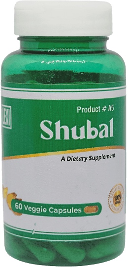 Shubal