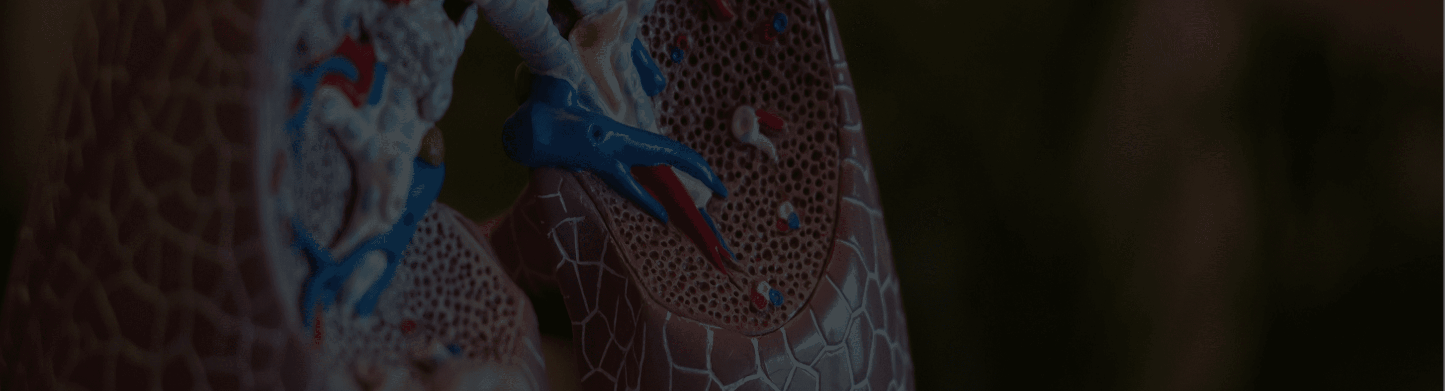 Respiratory Health